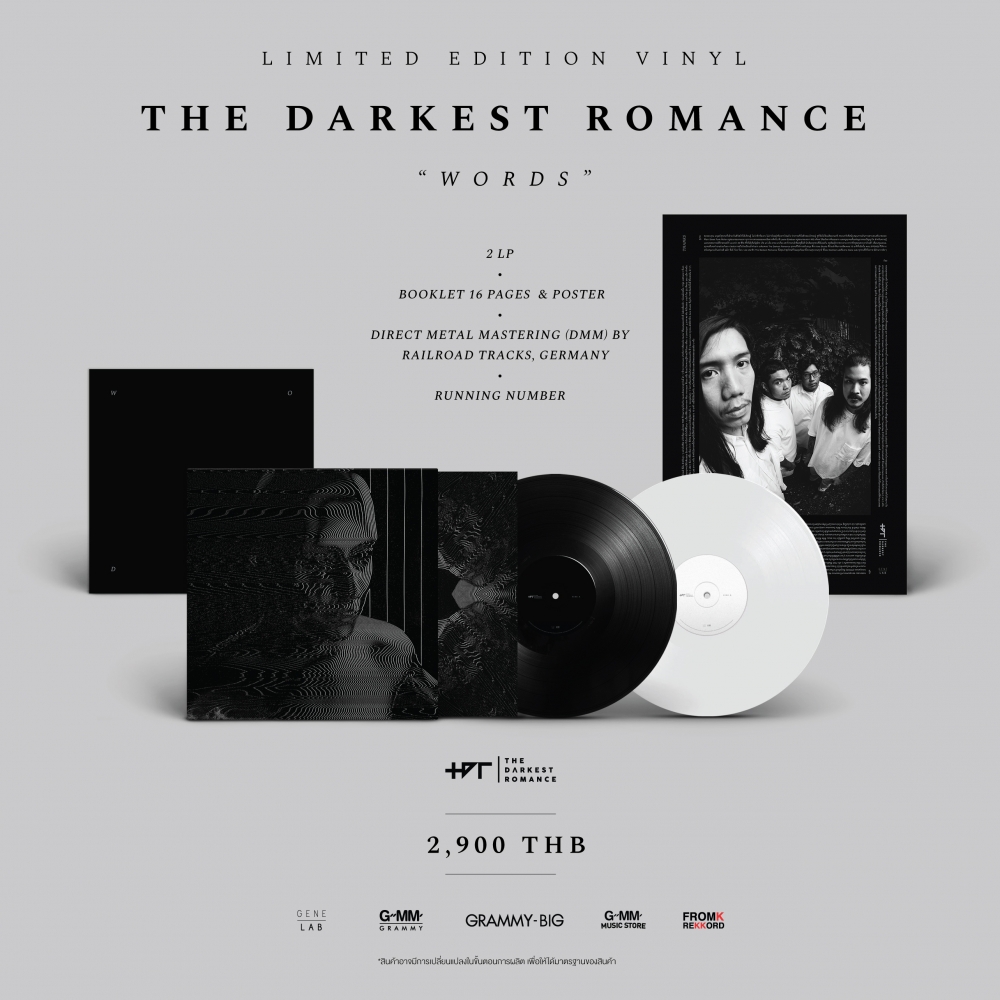 Vinyl The Darkest Romance WORDS
